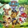 Paw Patrol Games